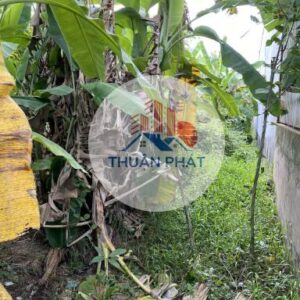 💎 Bán Đất Nền Xã An Bình – Cao Lãnh – 233m² Sổ Riêng – Giá Chỉ 1 Tỷ 💎