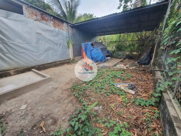 💎 Bán Nhà Cấp 4 Phường 3 TP. Cao Lãnh – 149m² – Trung Tâm Thành Phố – Giá 1 Tỷ 💎 - Hình ảnh 9