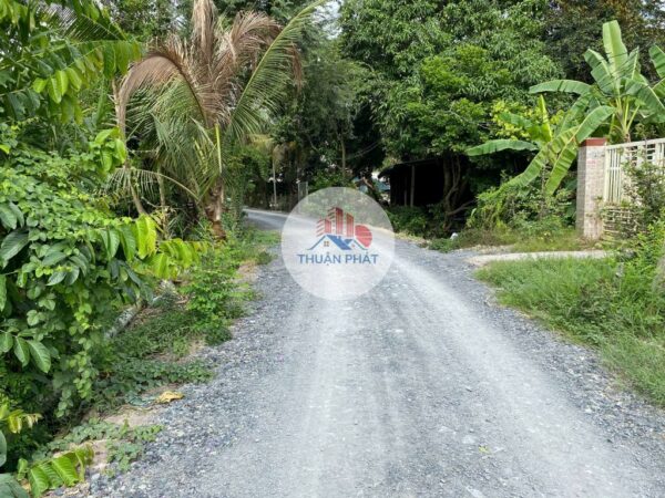 💎 Bán Đất Nền Xã An Bình – Cao Lãnh – 233m² Sổ Riêng – Giá Chỉ 1 Tỷ 💎 - Hình ảnh 8